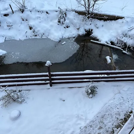 незабутні карпати *