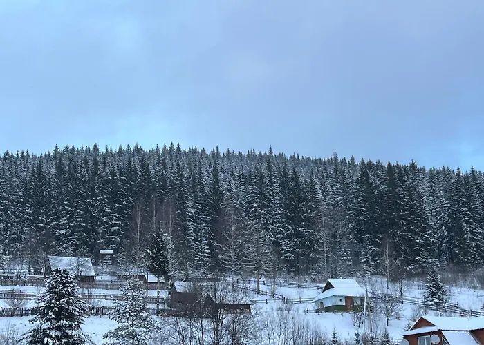 незабутні карпати